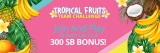 Tropical Fruits Team Challenge – The Daily Swag